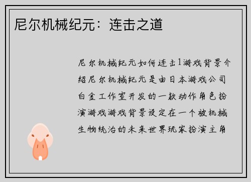 尼尔机械纪元：连击之道