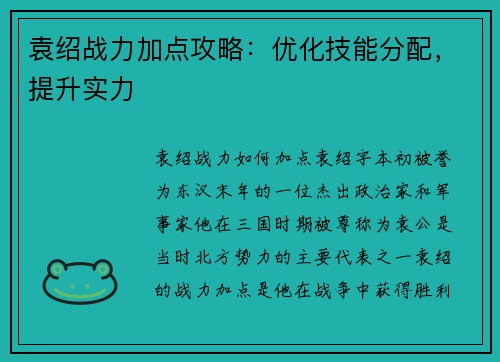 袁绍战力加点攻略：优化技能分配，提升实力