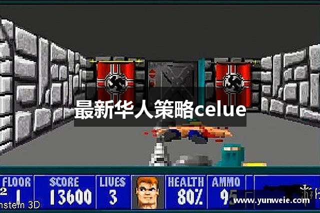 最新华人策略celue